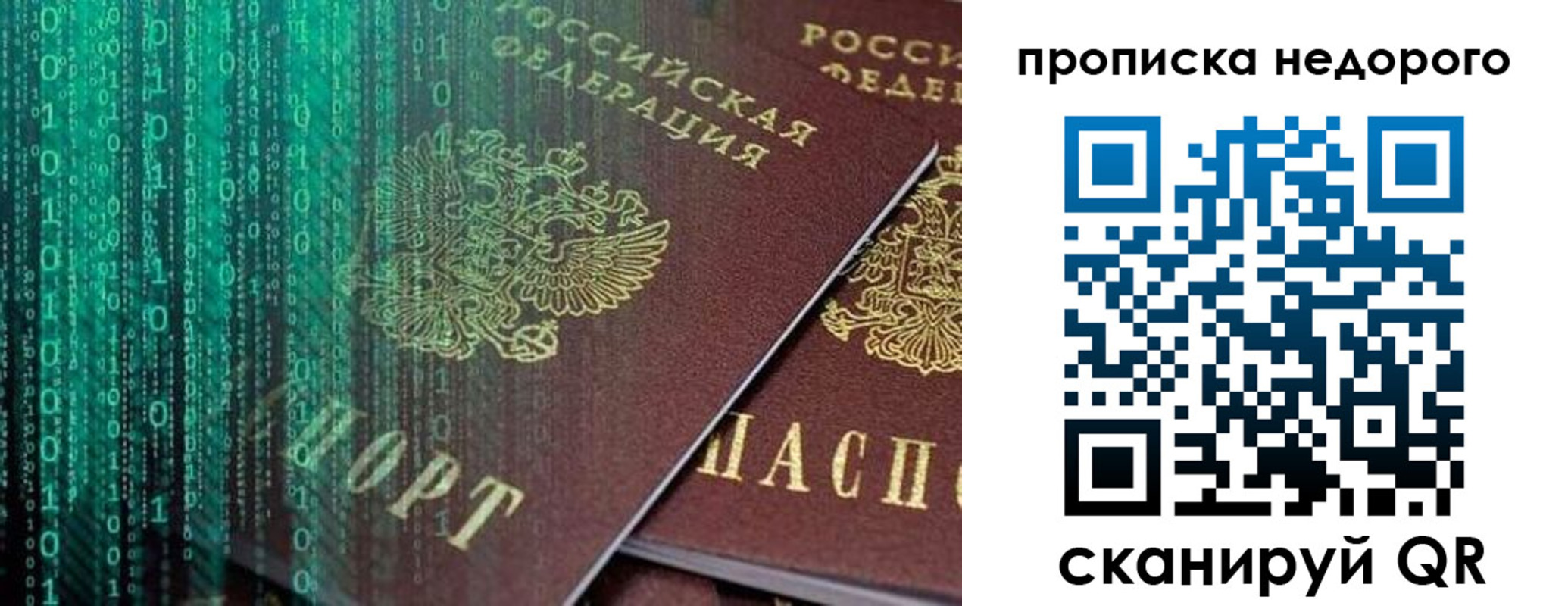 купить прописку в Полярных Зорях